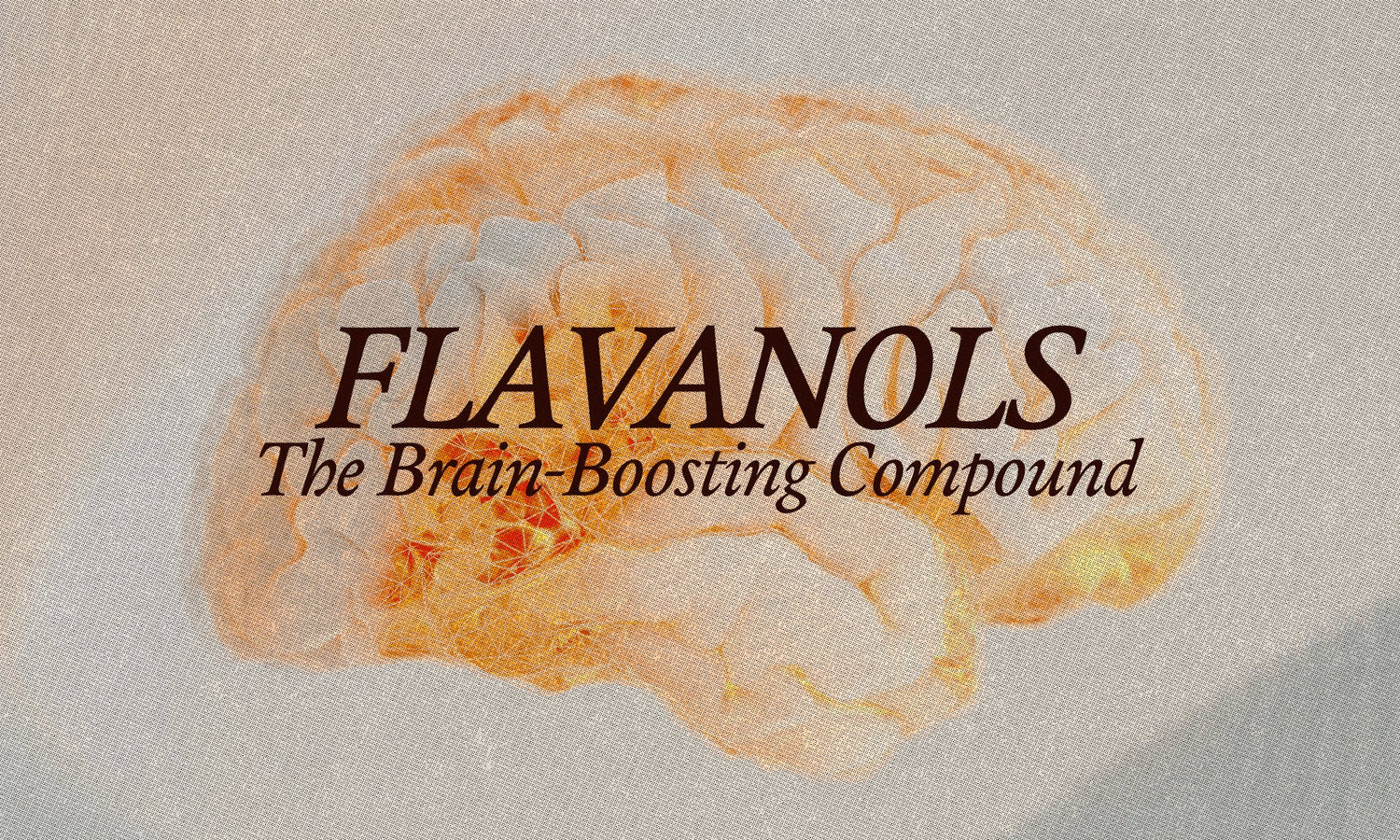 Flavanols: The Brain-Boosting Power Hidden in Real Chocolate - The Conscious Bar