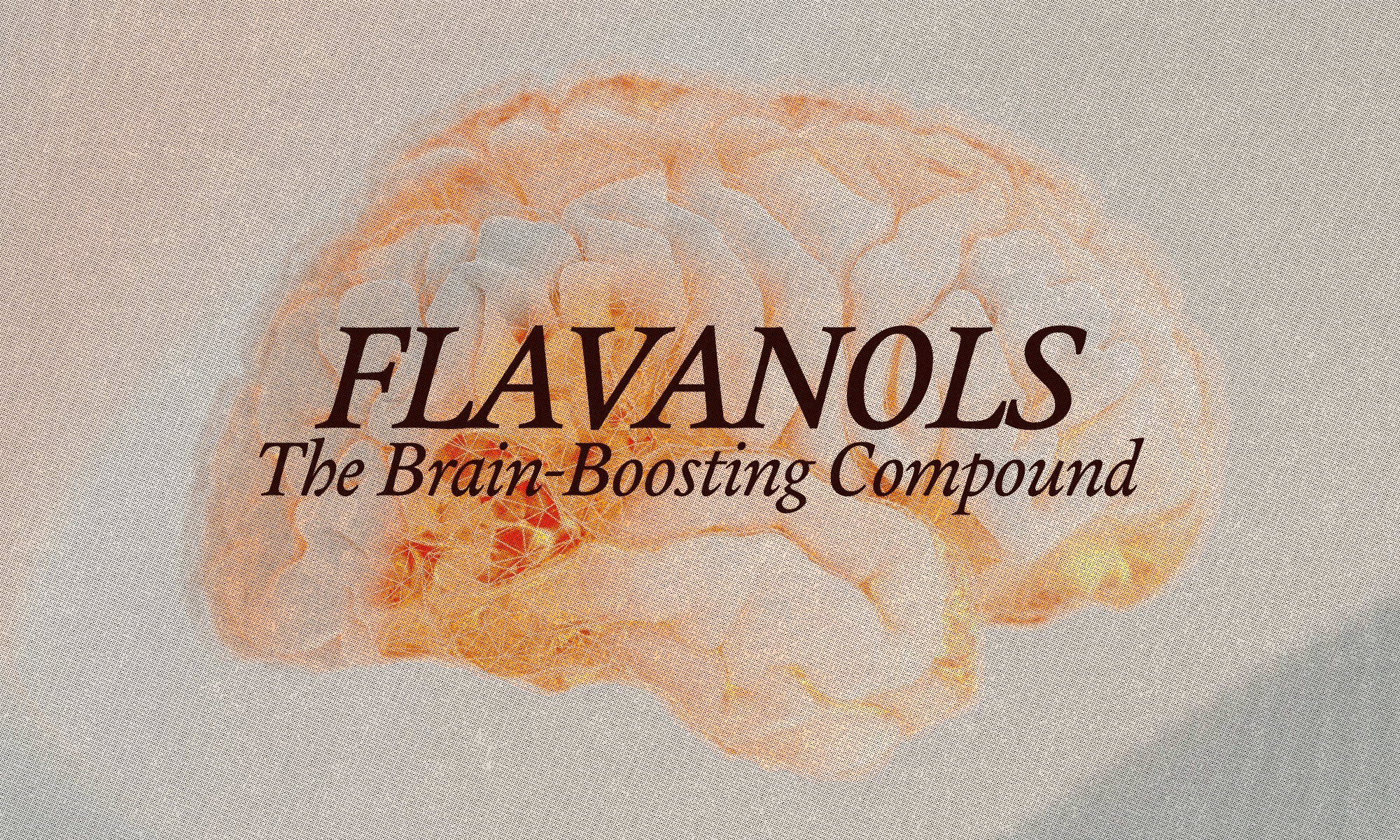 Flavanols: The Brain-Boosting Power Hidden in Real Chocolate - The Conscious Bar