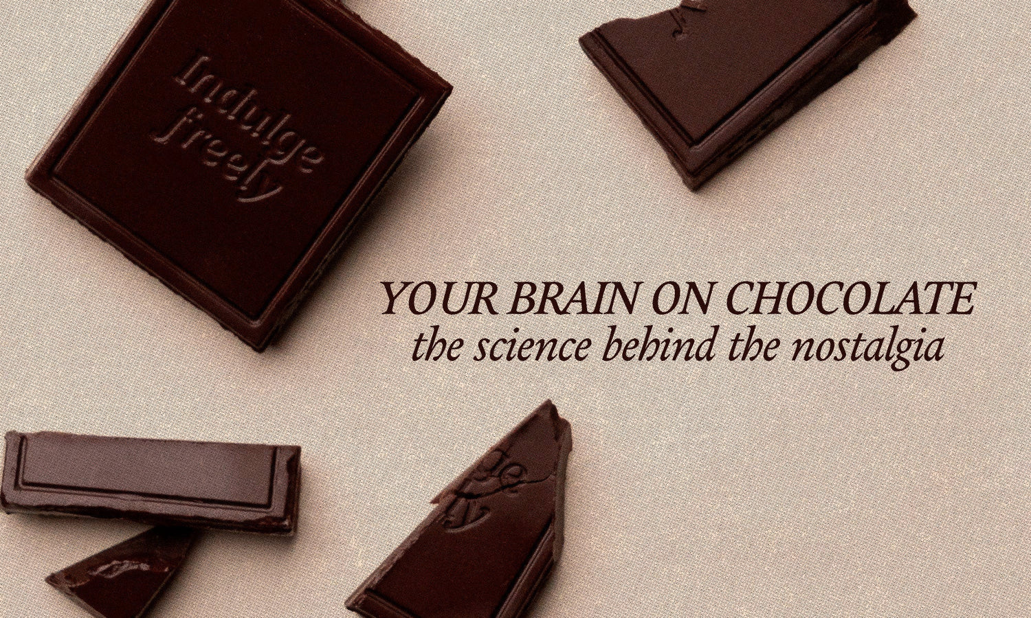 Why Chocolate Feels Like Time Travel: The Neuroscience of Your Favorite Bite