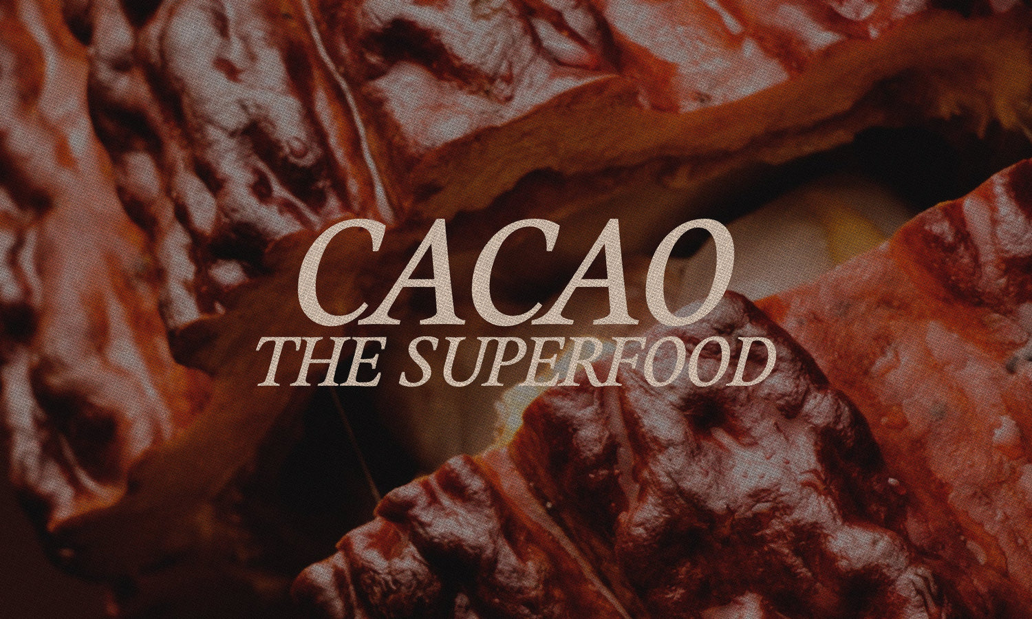 What Makes Cacao a Superfood?