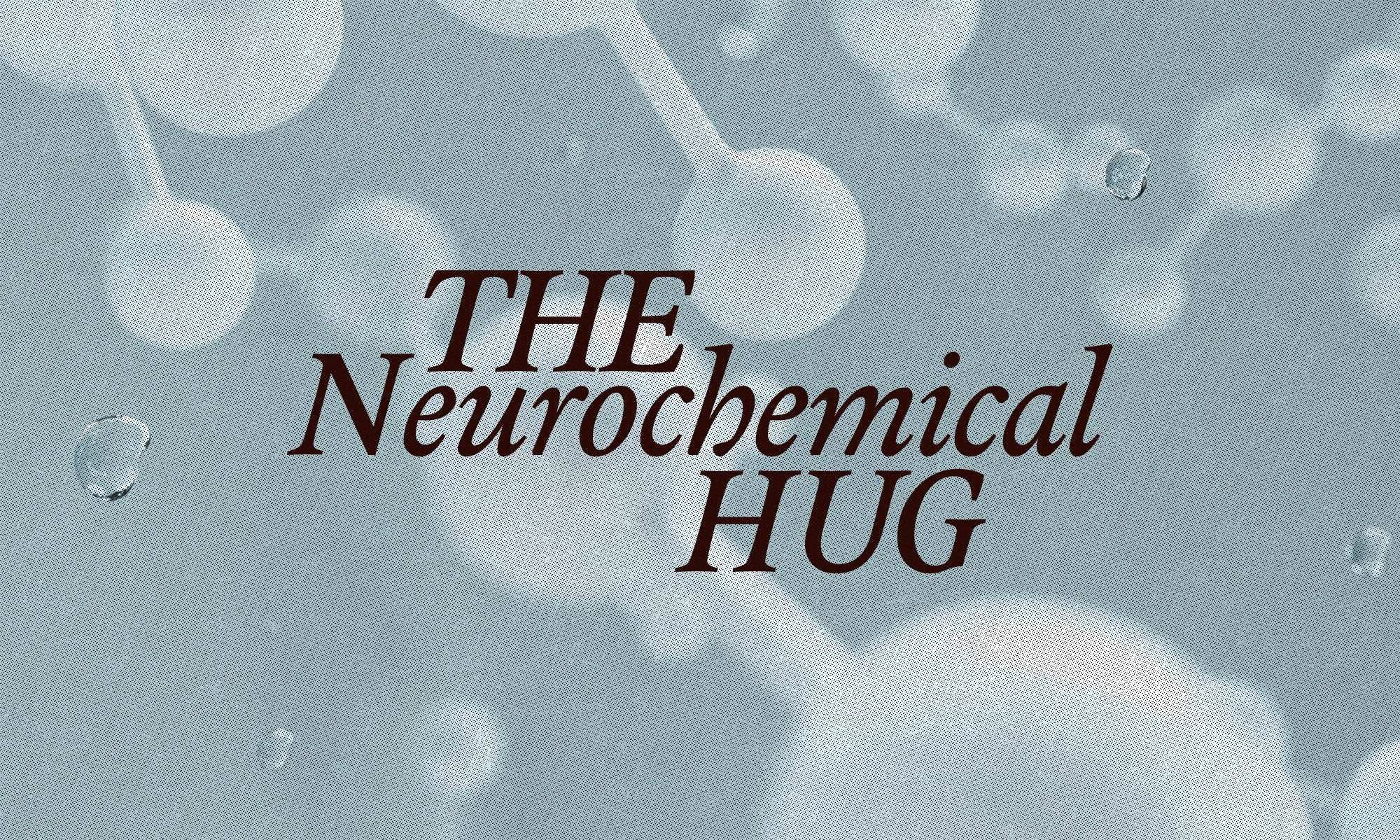 The Science of the “Chocolate High”: Why Cacao Feels Like a Neurochemical Hug