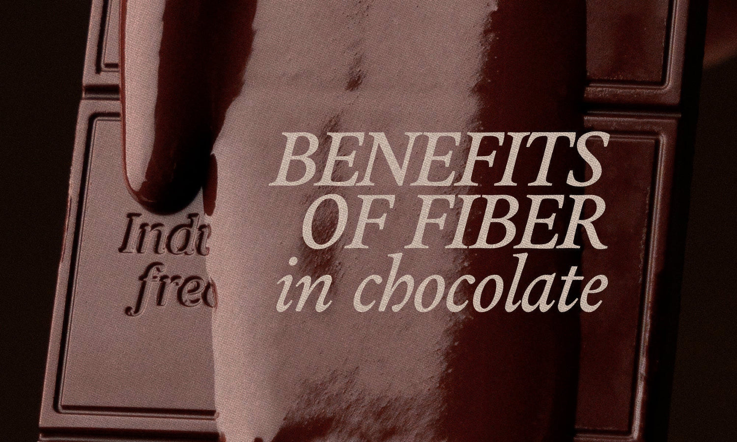 Why Fiber in Chocolate Matters for Blood Sugar, Gut Health, and Energy