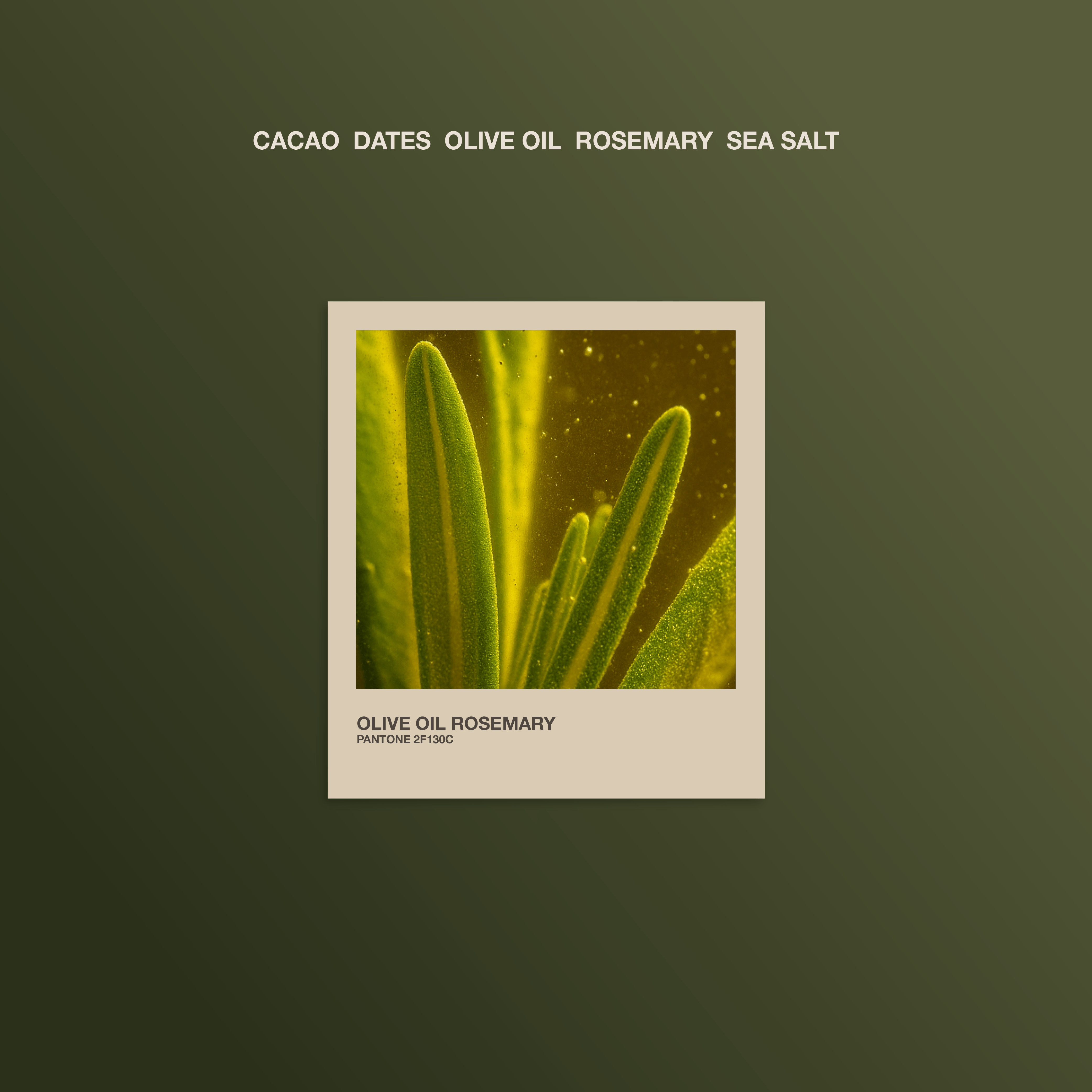 Product label with olive oil, rosemary, and sea salt on a dark green background