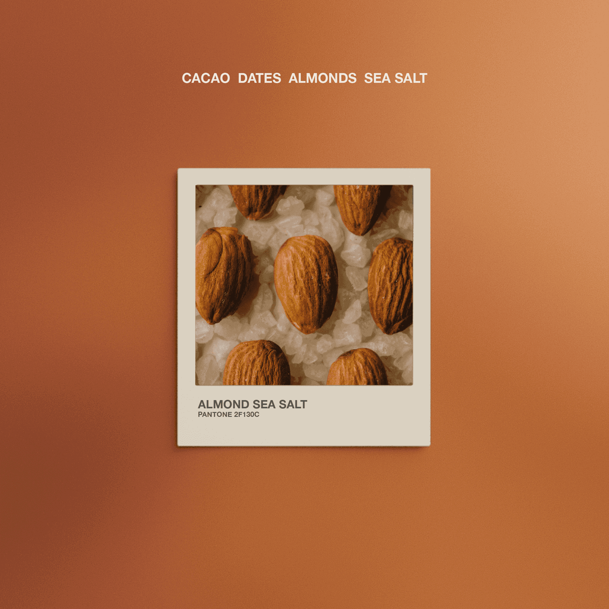 Almond Sea Salt - The Conscious Bar