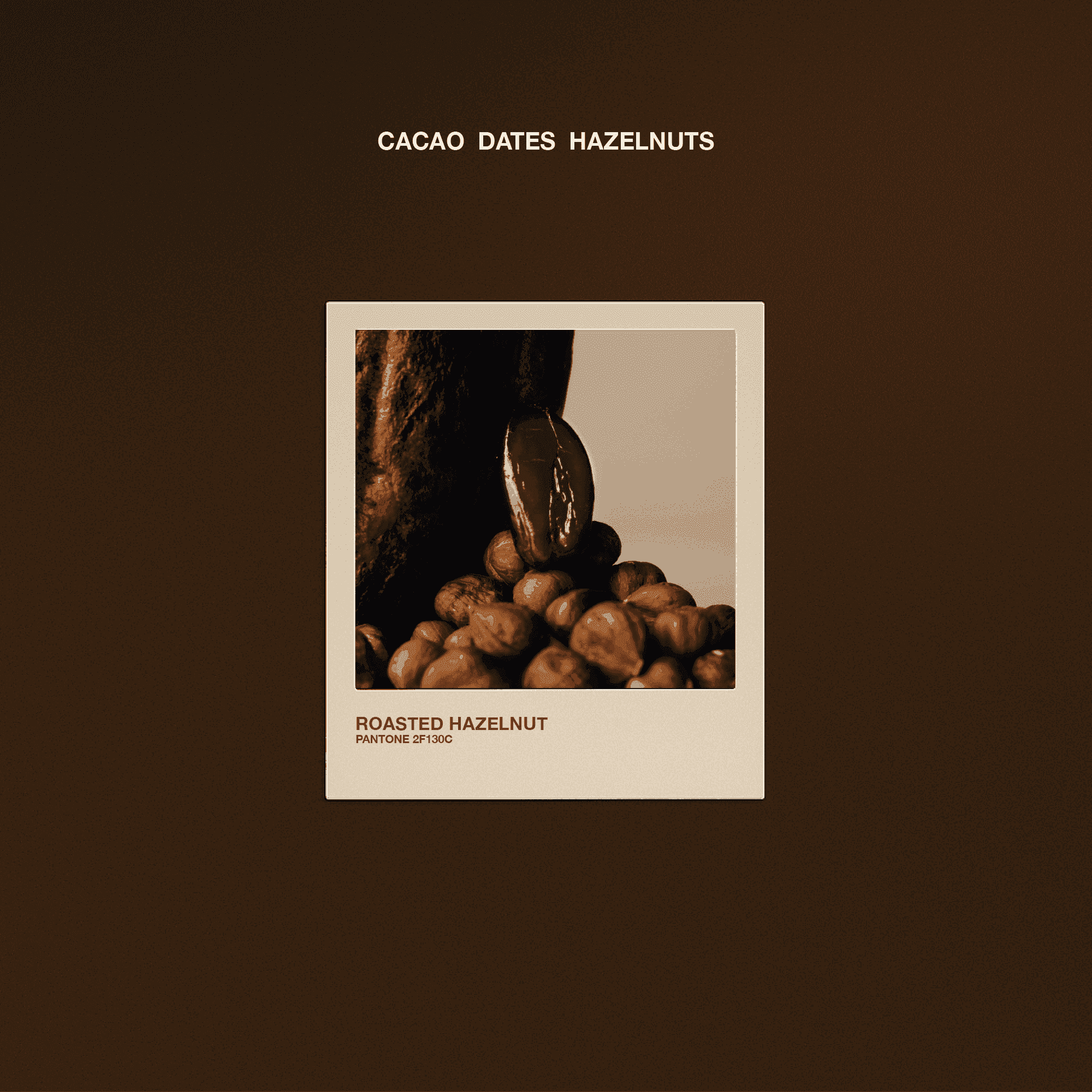 Roasted Hazelnut - The Conscious Bar