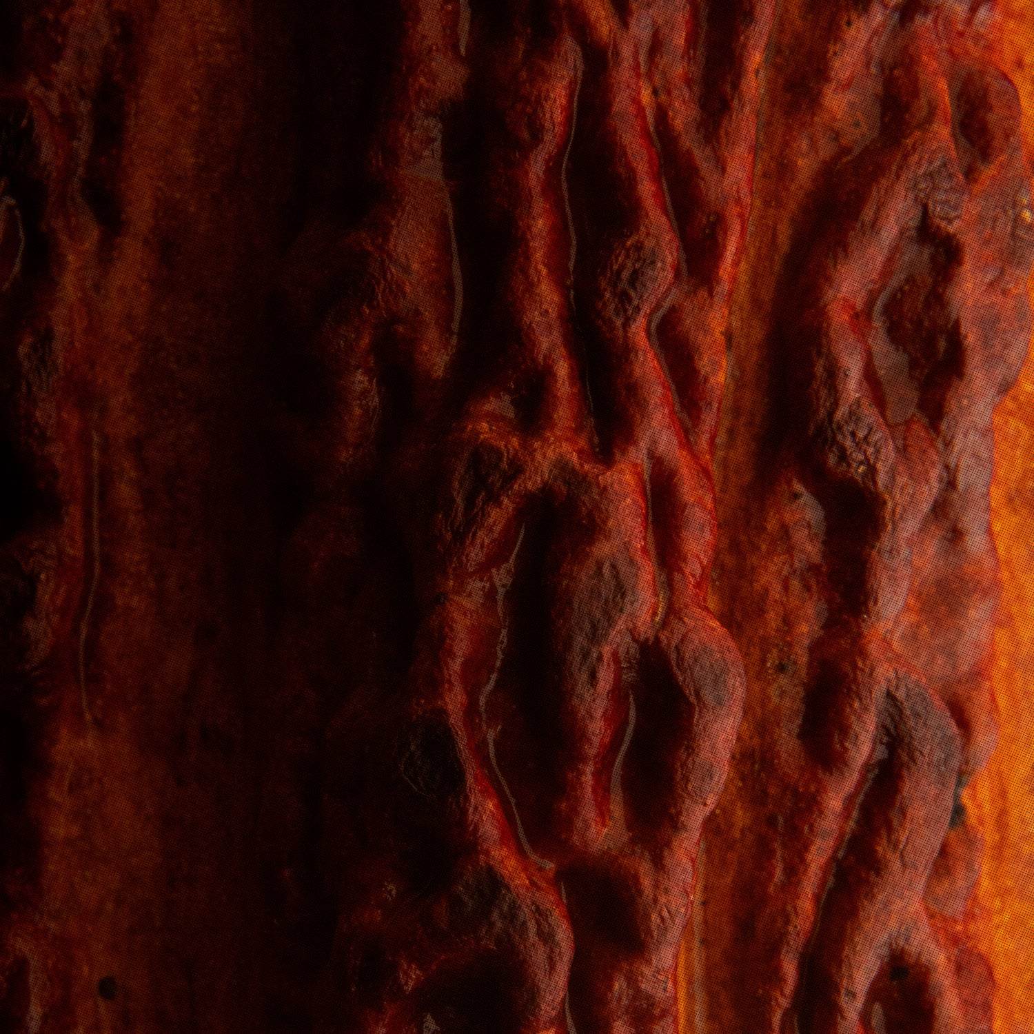 The_Benefits_Of_Cacao_4 - The Conscious Bar