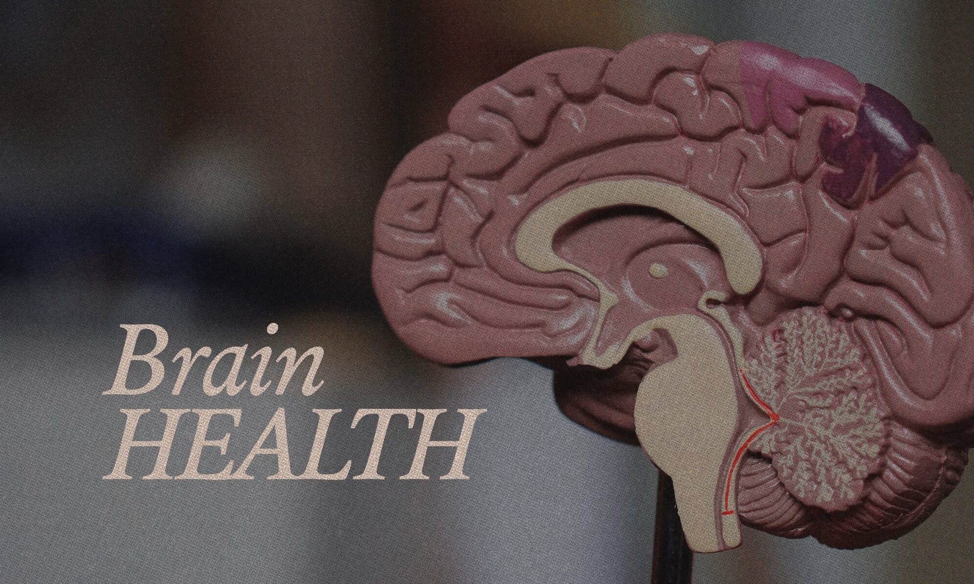 Harvard Found Something in Chocolate That Could Change Brain Health Forever - The Conscious Bar