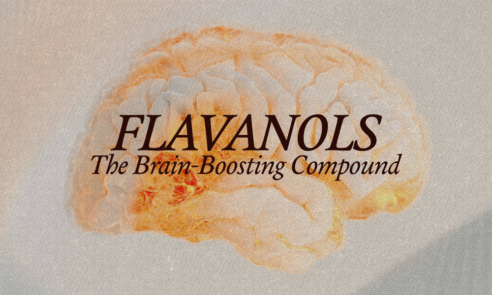 Flavanols: The Brain-Boosting Power Hidden in Real Chocolate - The Conscious Bar