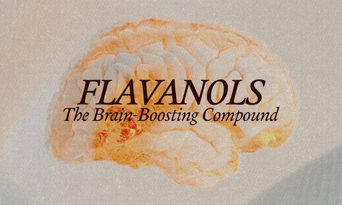Flavanols: The Brain-Boosting Power Hidden in Real Chocolate - The Conscious Bar