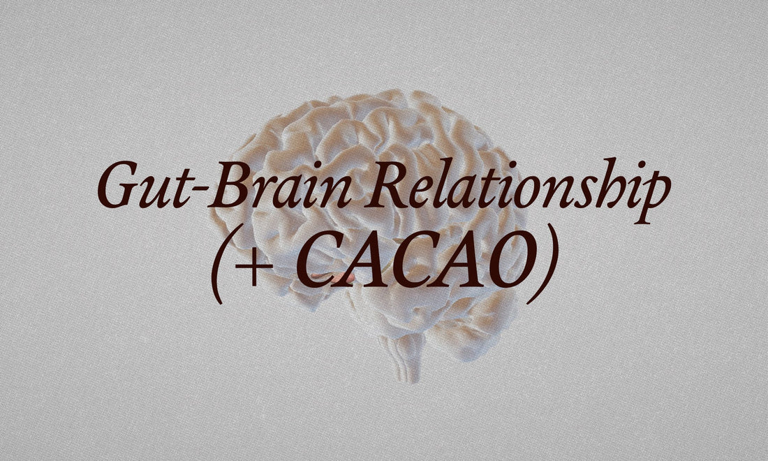 Your Gut and Your Brain Are Always Talking