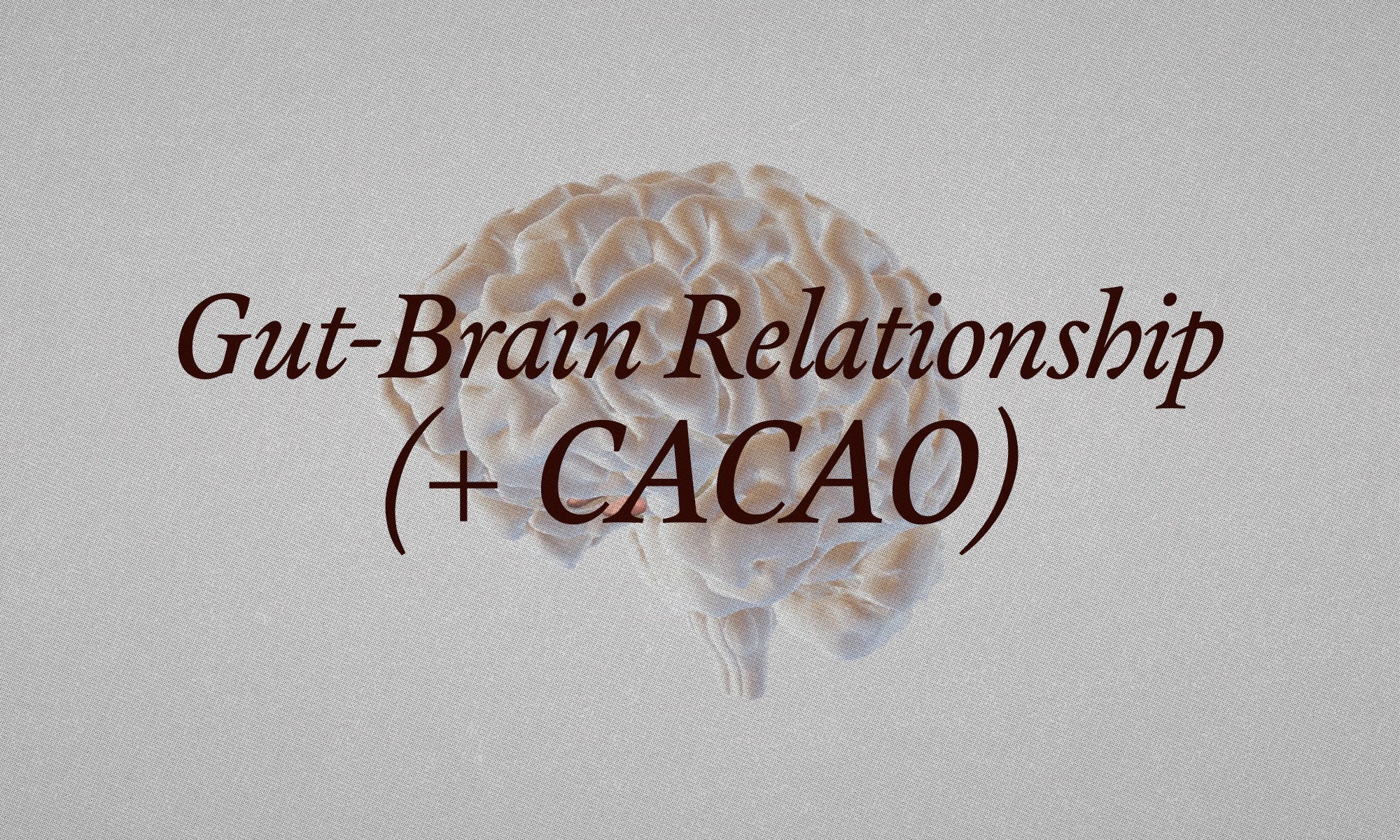 Your Gut and Your Brain Are Always Talking