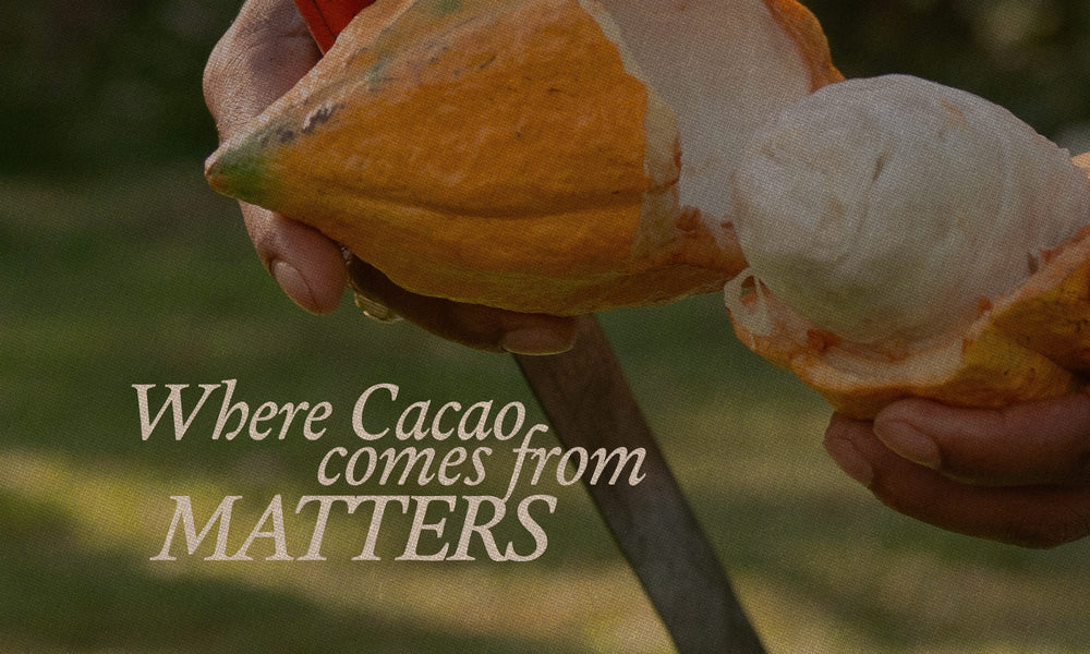 The EU is Forcing the Chocolate Industry to Prove Where Its Cacao Comes From