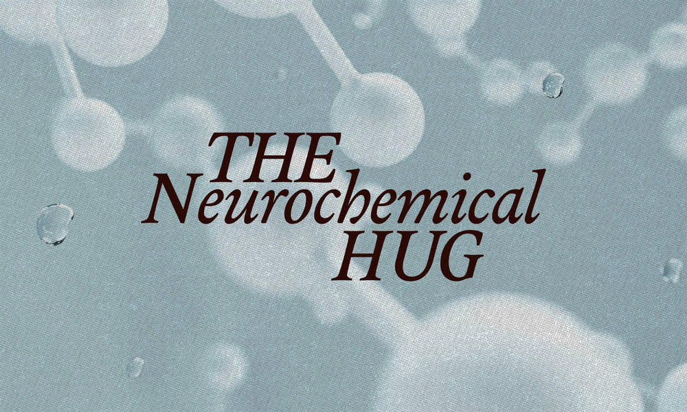 The Science of the “Chocolate High”: Why Cacao Feels Like a Neurochemical Hug