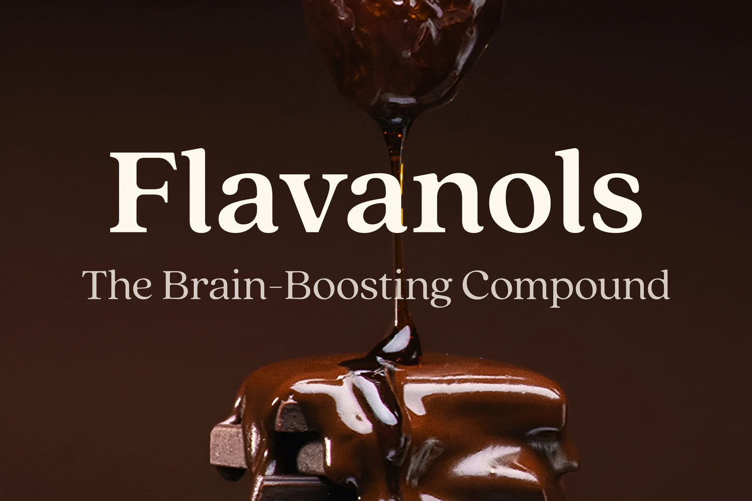 Flavanols: The Brain-Boosting Power Hidden in Real Chocolate