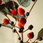 Berry Basket - Limited Edition