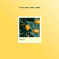 Lemon Pop - Limited Edition