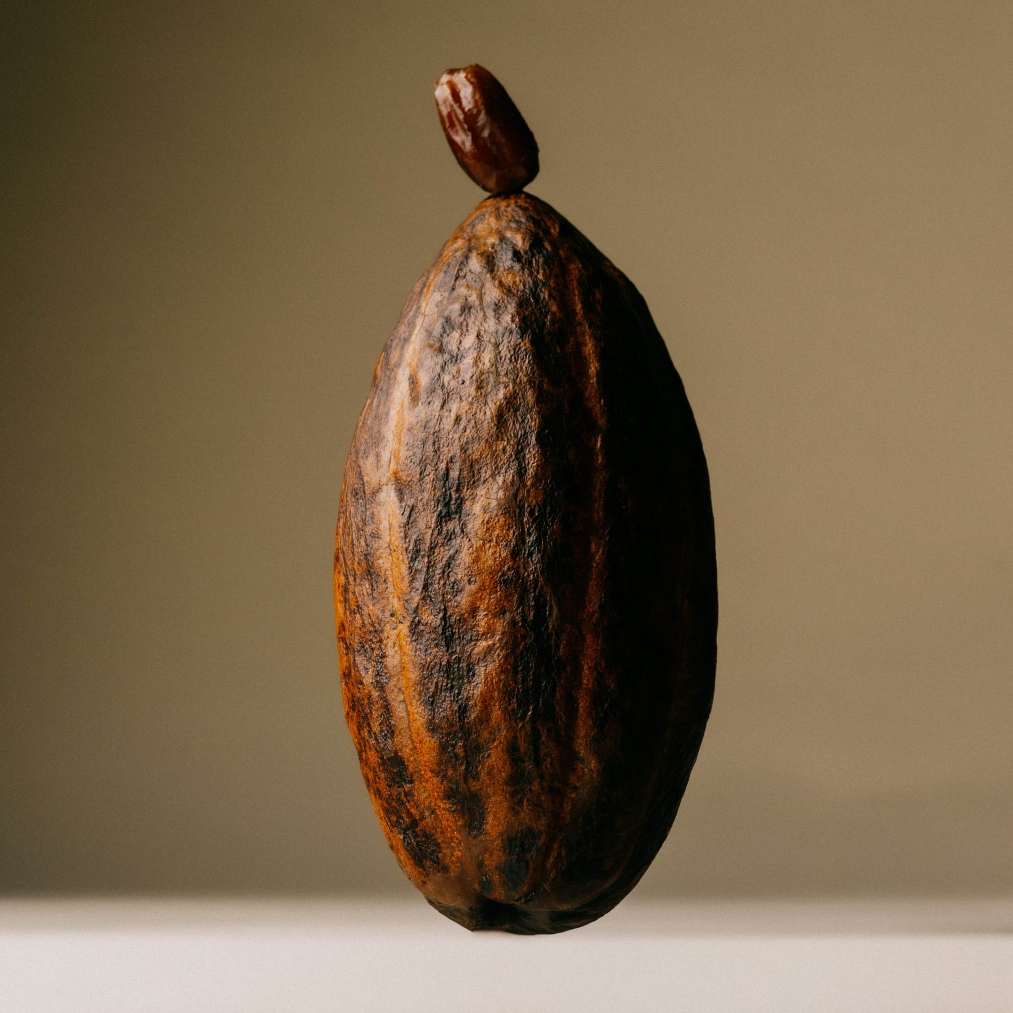 Smooth Dark Chocolate - The Conscious Bar