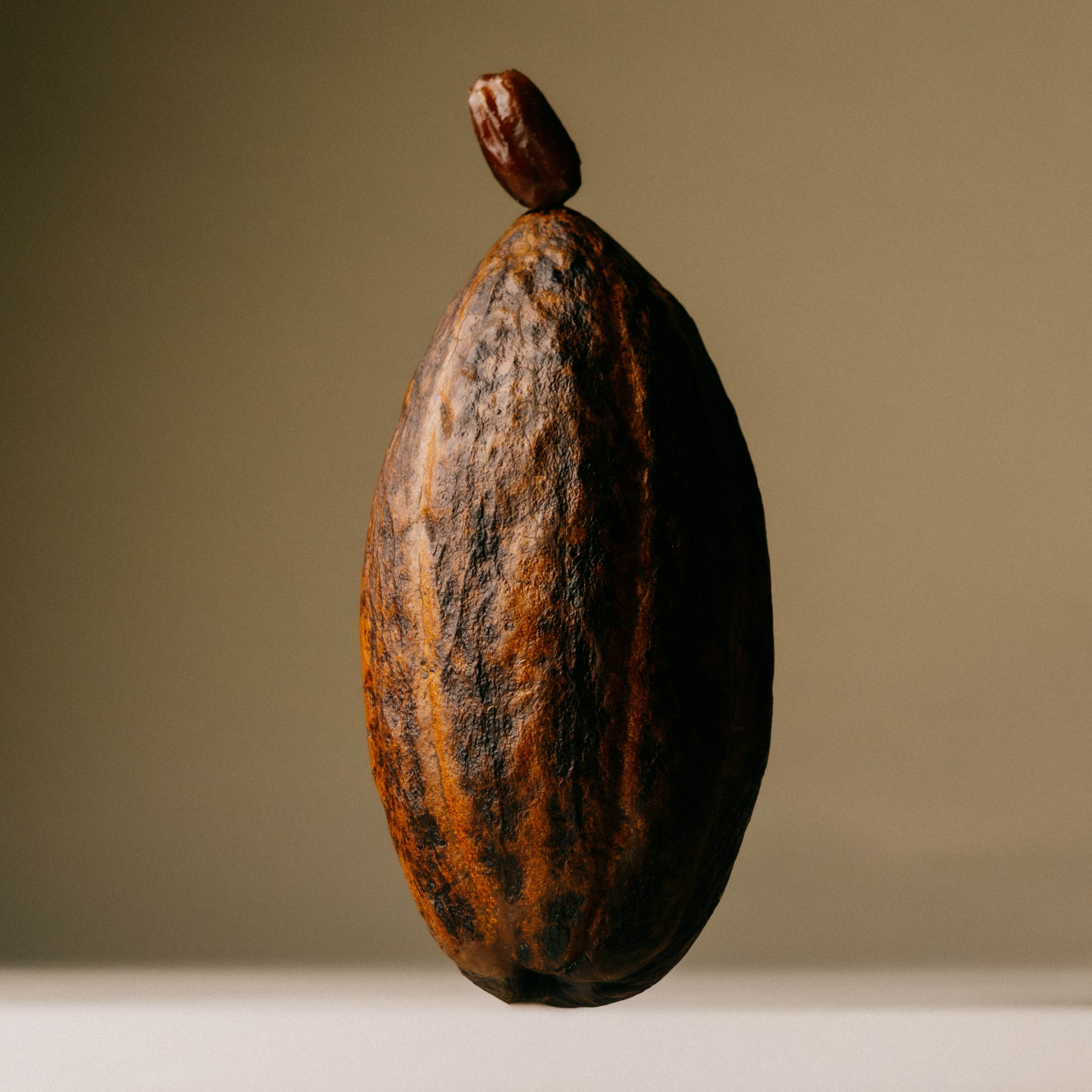 Smooth Dark Chocolate - The Conscious Bar