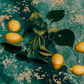 Lemon Pop - Limited Edition