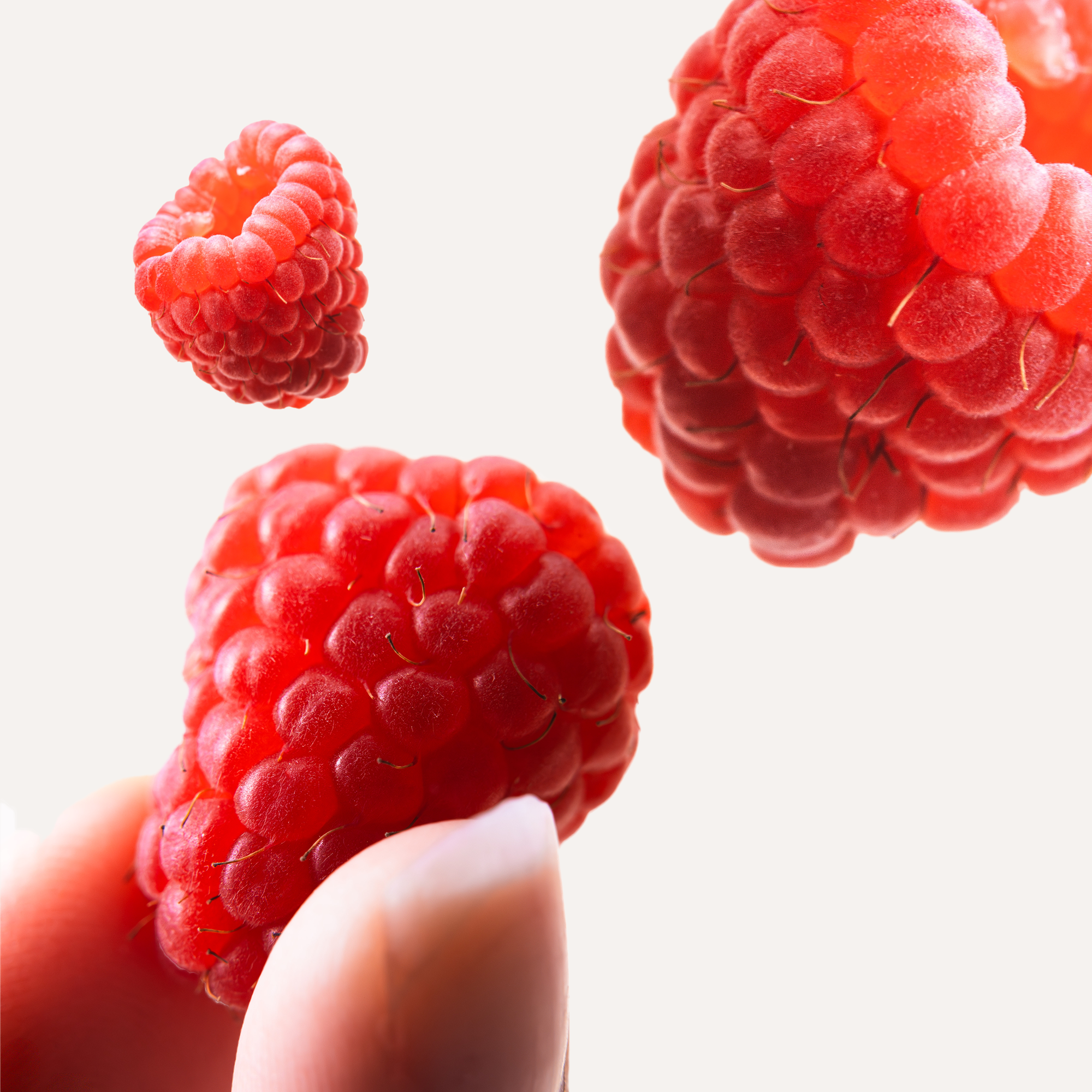 Raspberry Puff