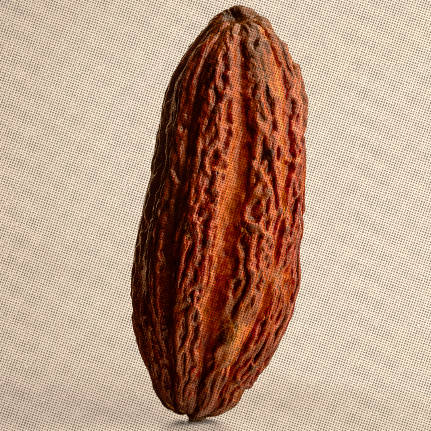 Cocoa bean on a beige background