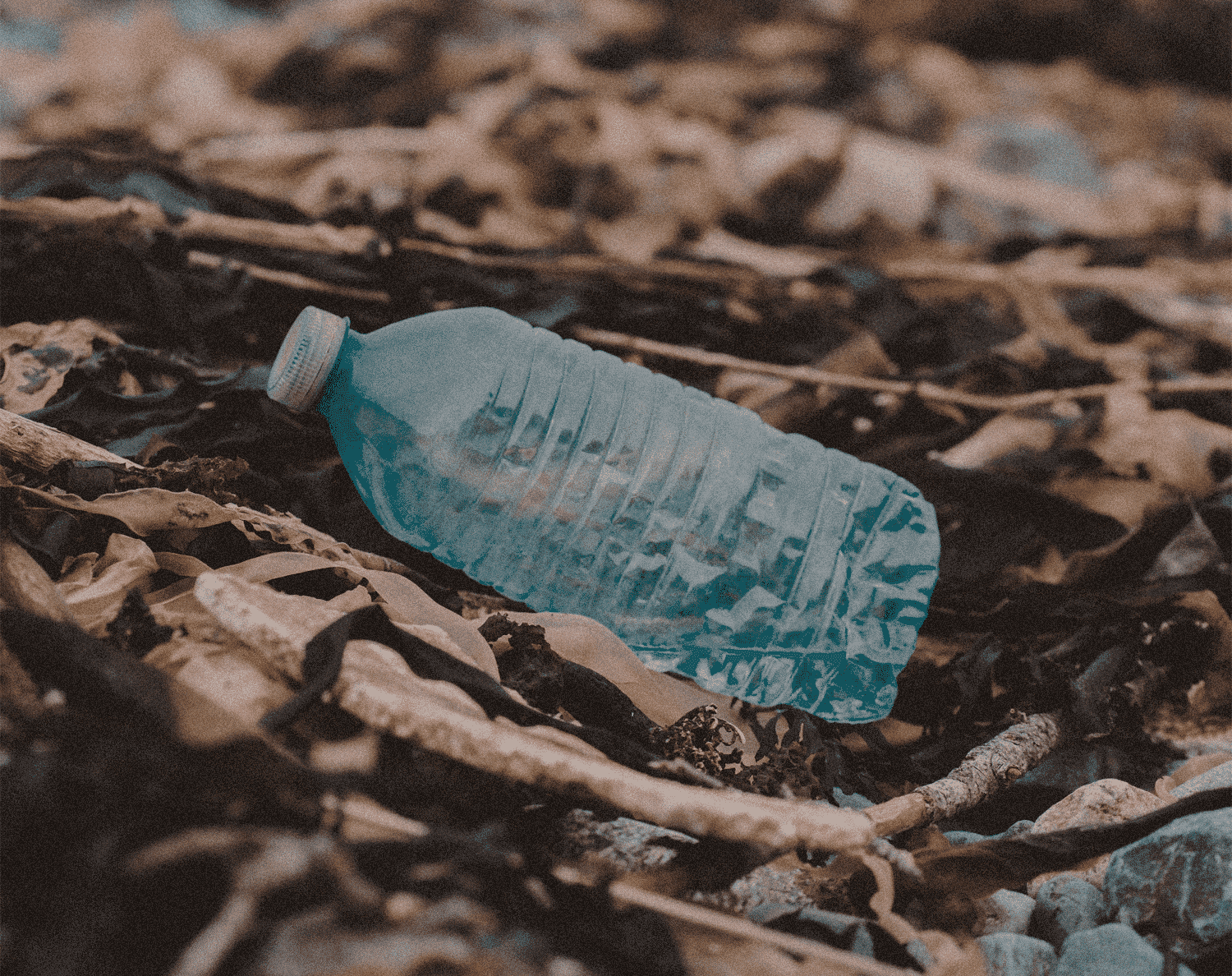 Blue plastic bottle on a bed of leaves and twigs