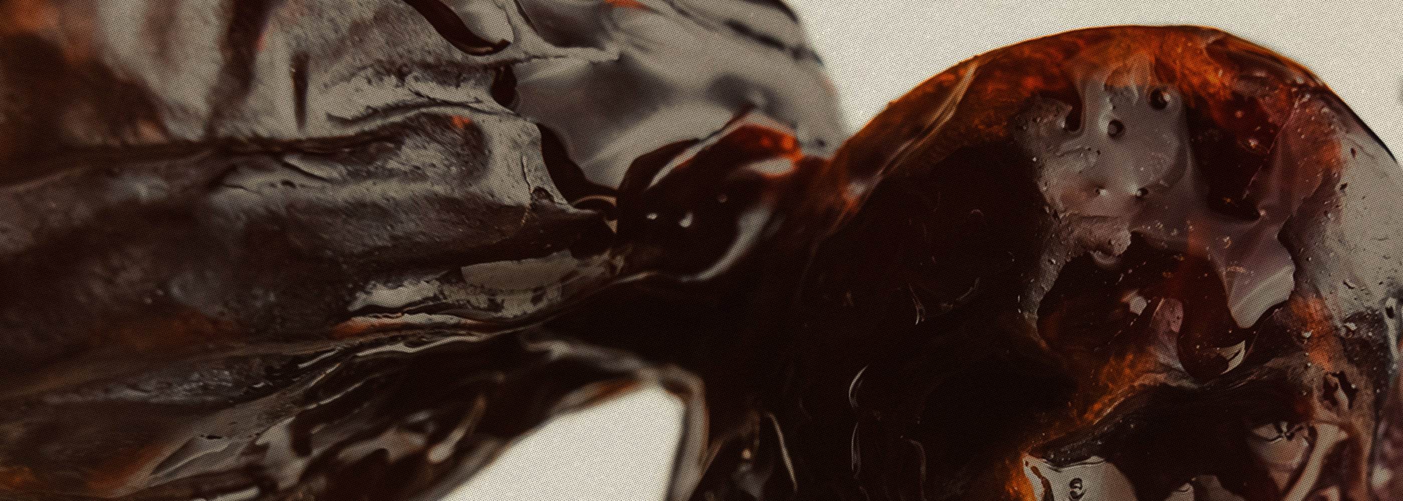 about_the_science_dates_nature_s_candy_B - The Conscious Bar