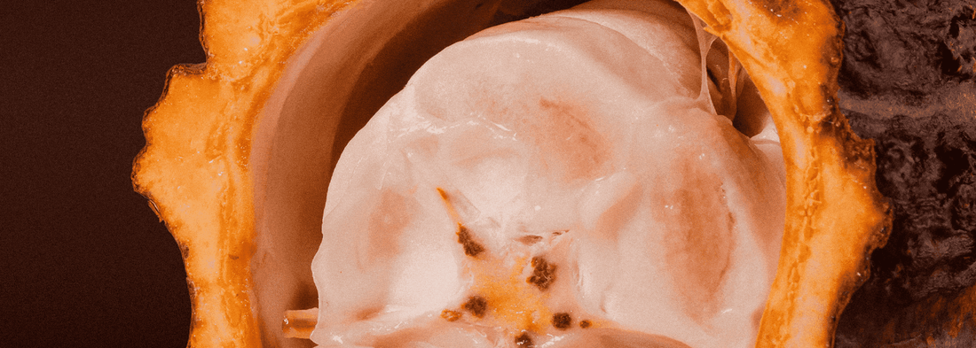 Close-up of a white stone with brown and orange rock formations