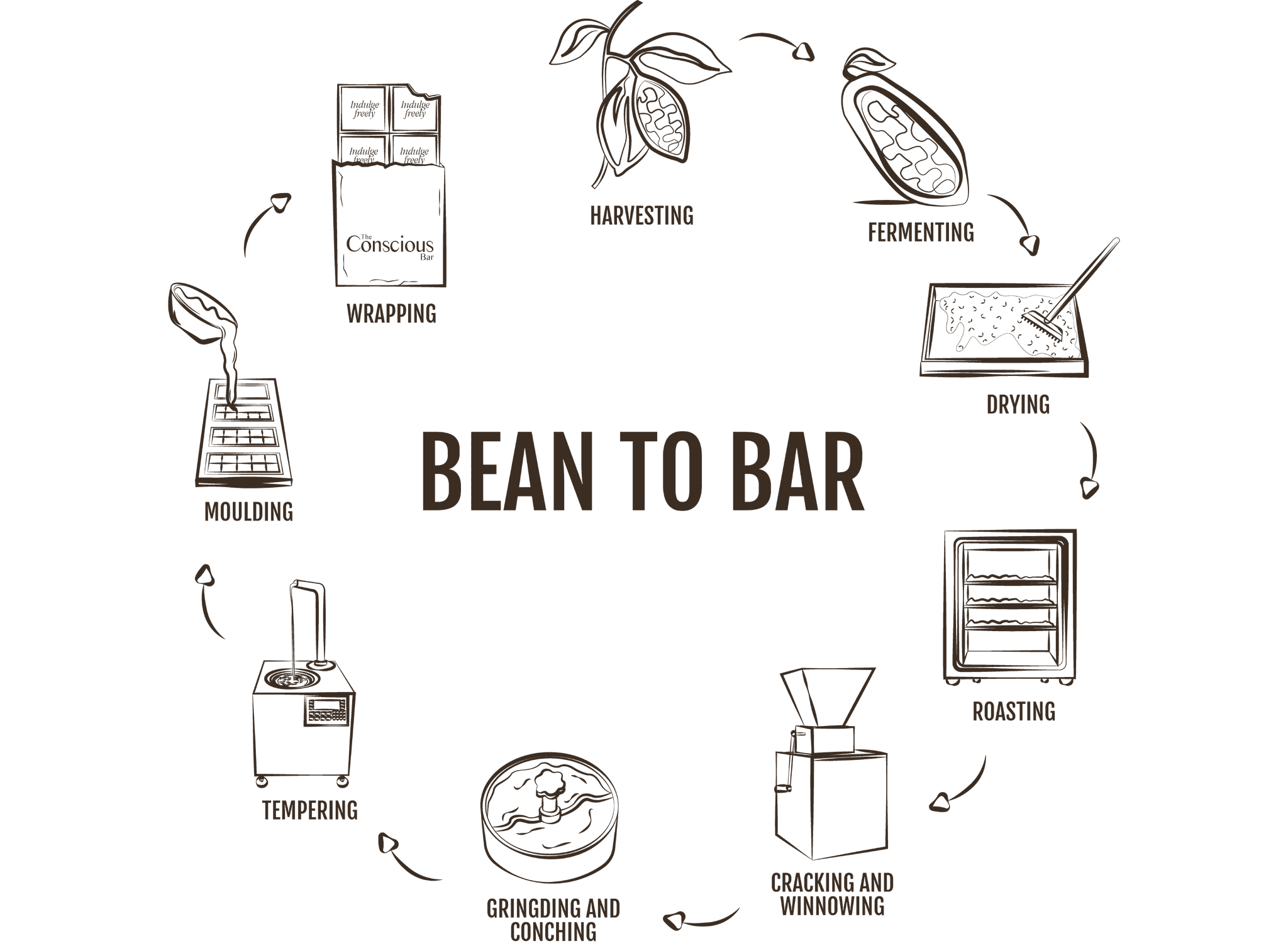 BEAN TO BAR