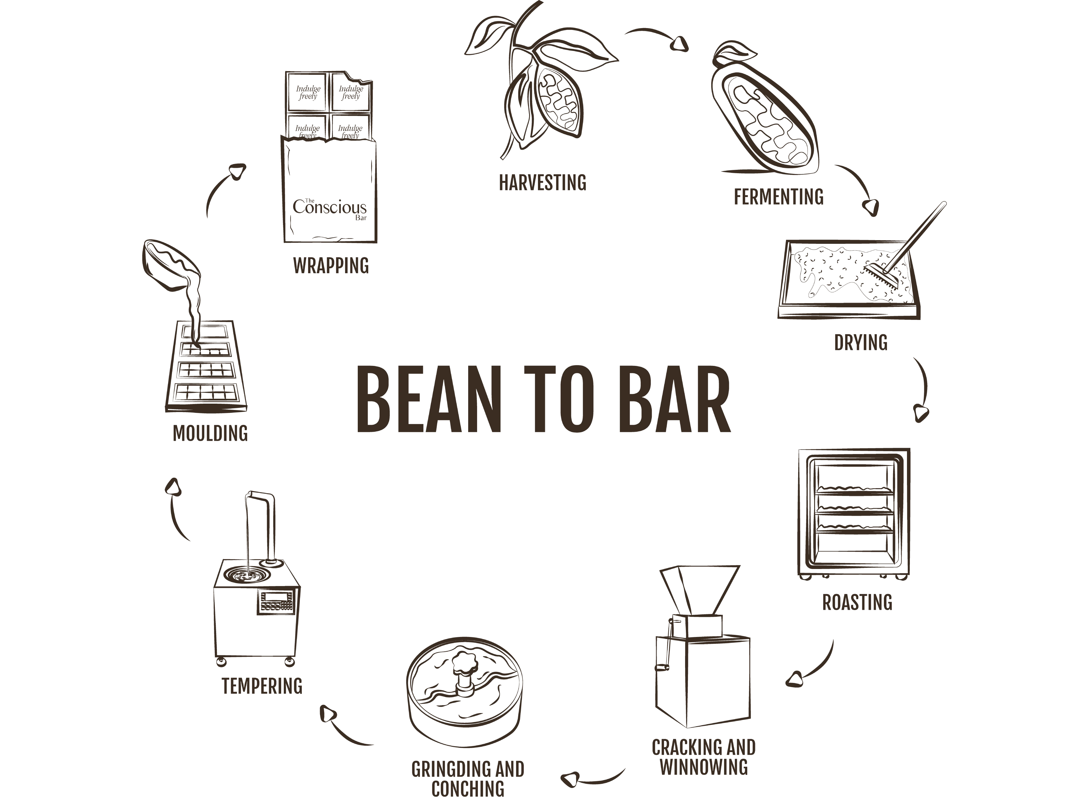 BEAN TO BAR