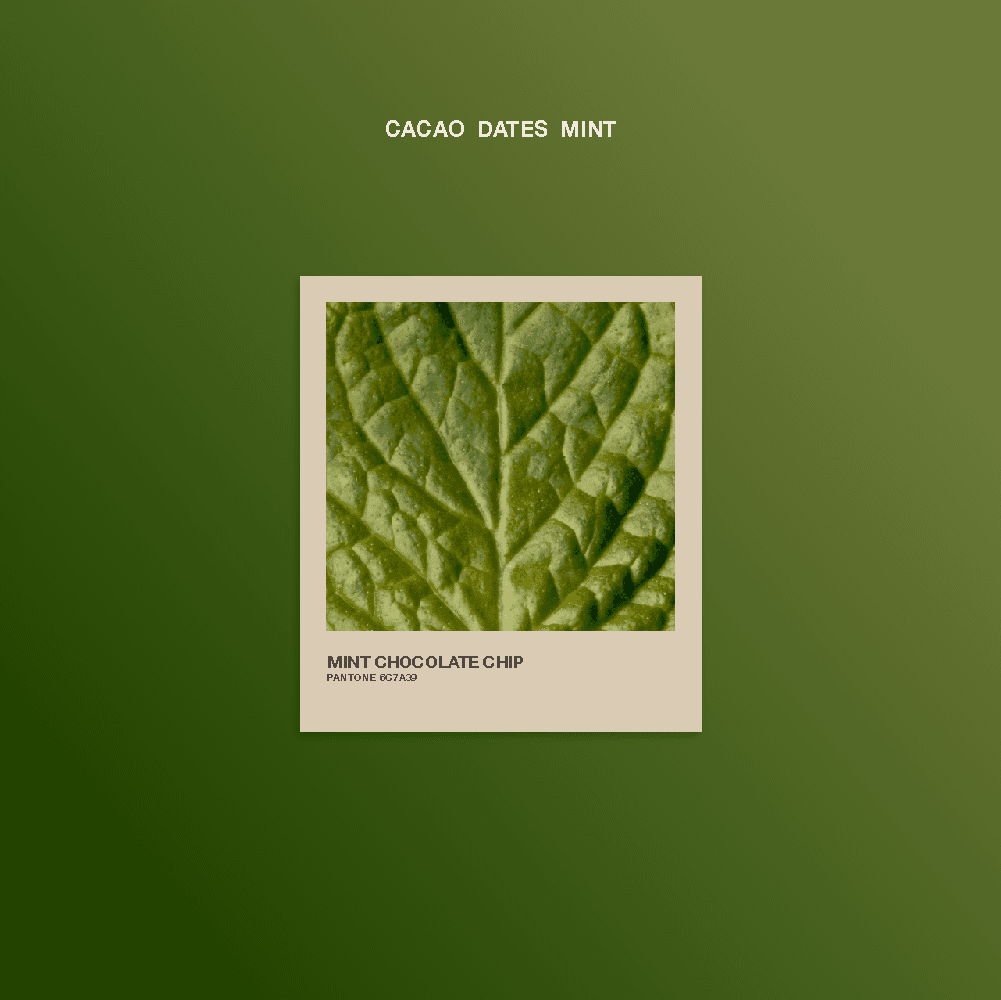 Mint Chocolate Chip – Limited Edition