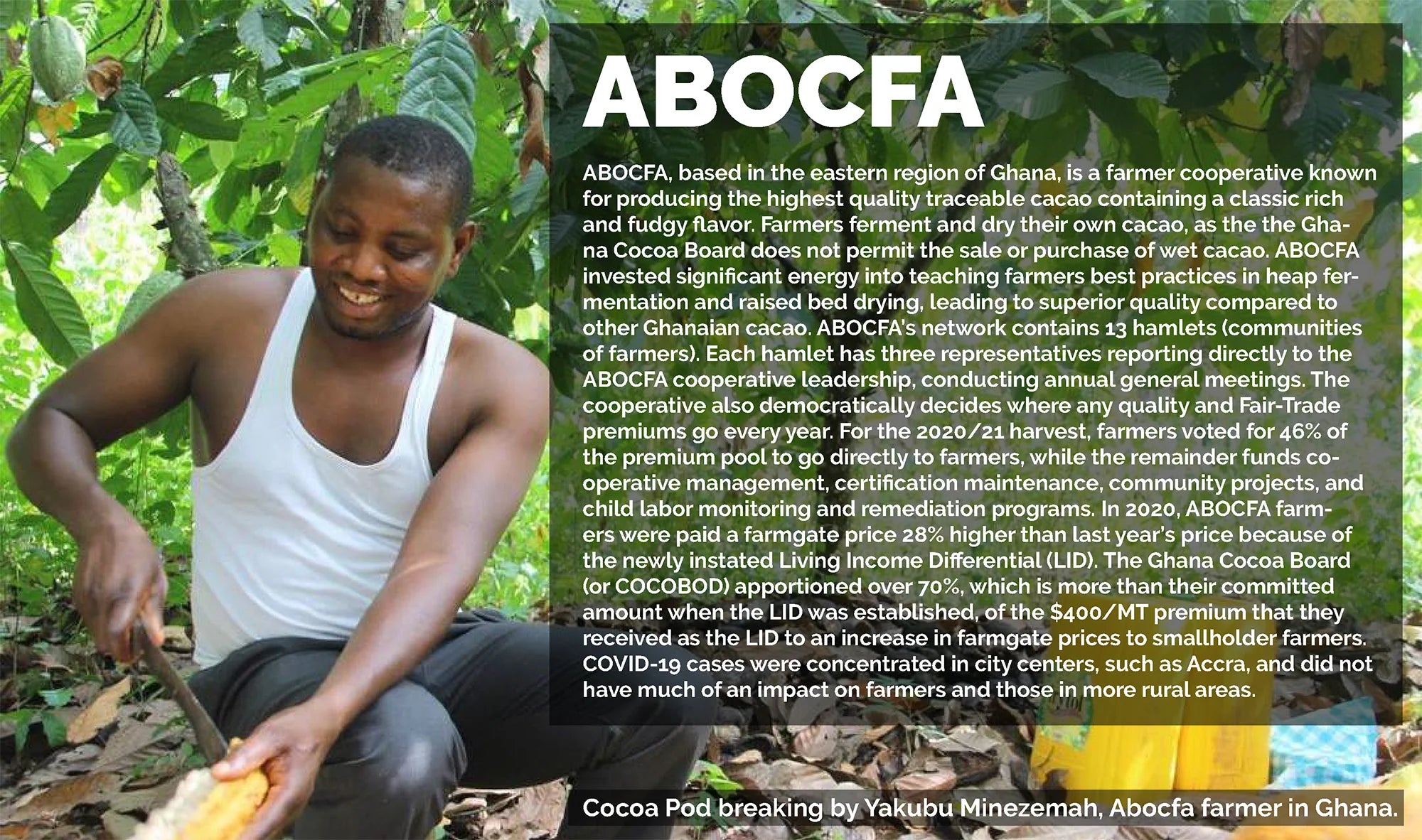 ABOFCA