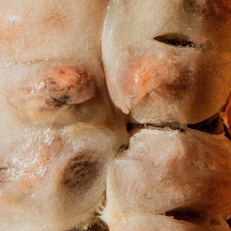 website_nourishment - The Conscious Bar